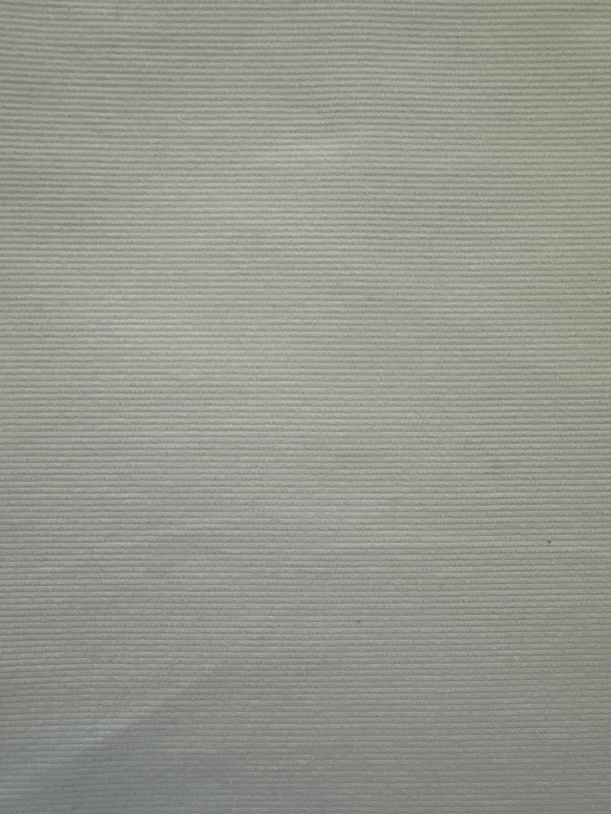 Snow White Corduroy