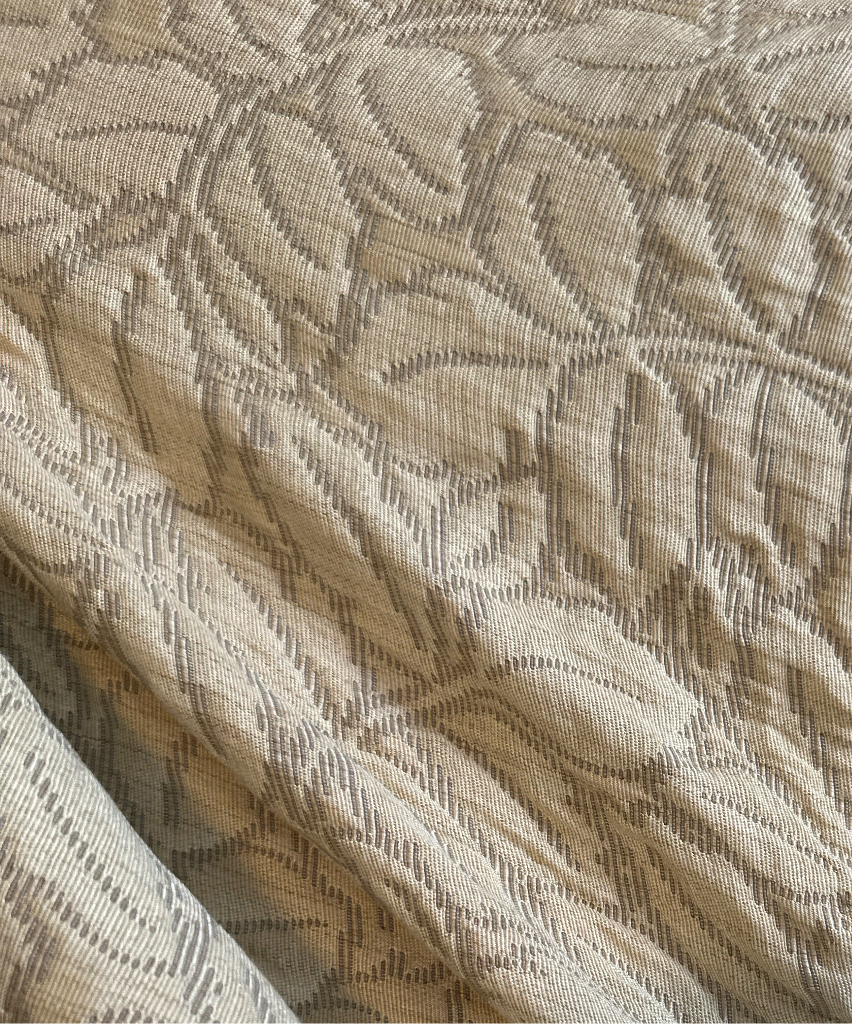 Champagne Vine Bushes