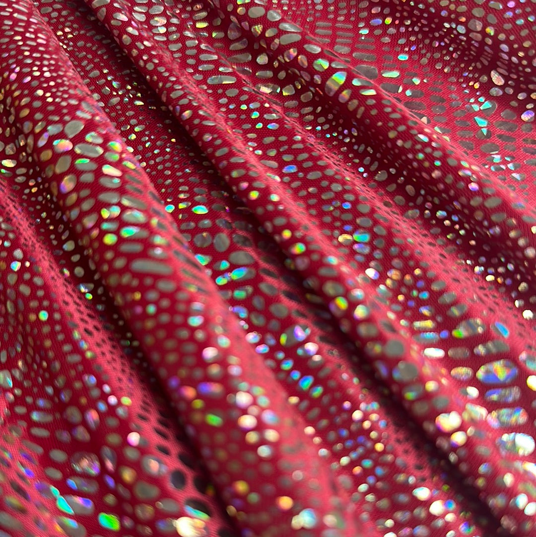 The Iridescent Animal