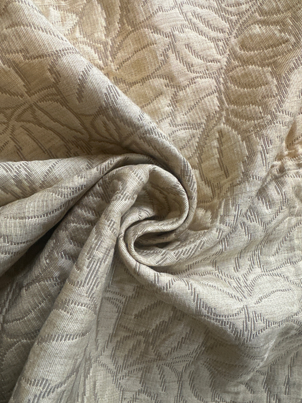 Champagne Vine Bushes