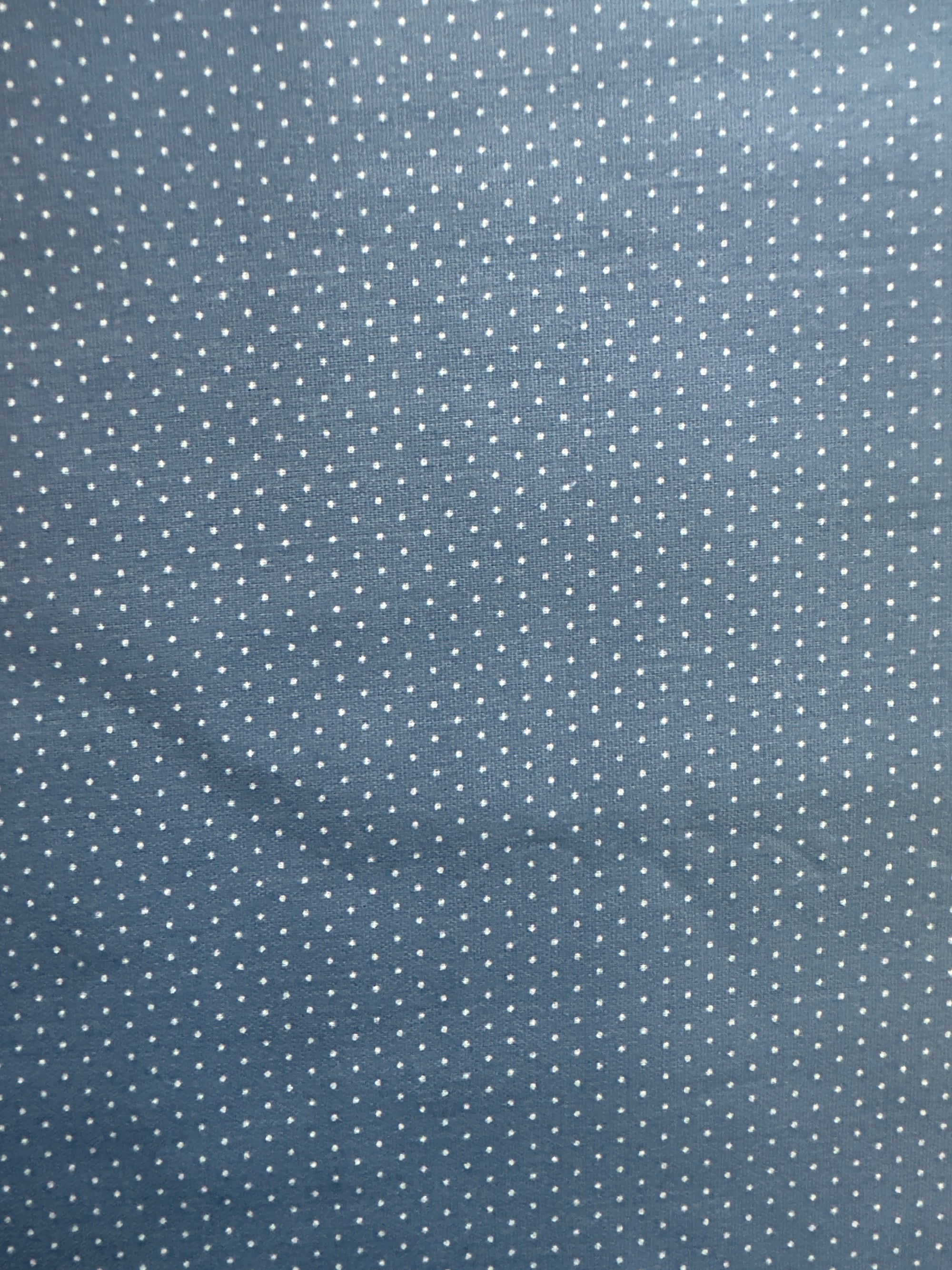 Ash Blue Polka Dot