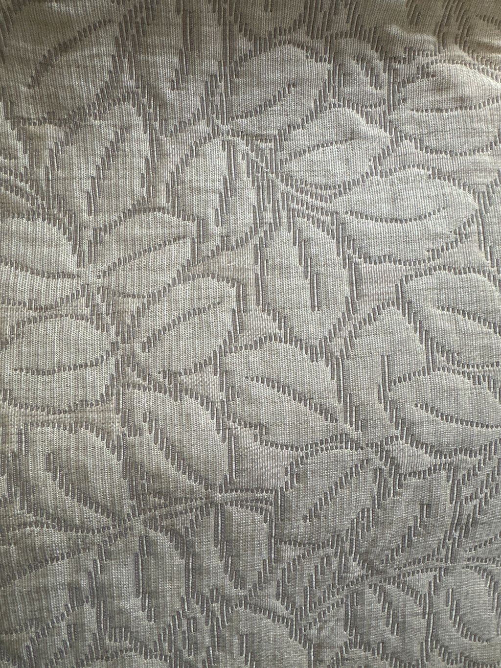 Champagne Vine Bushes