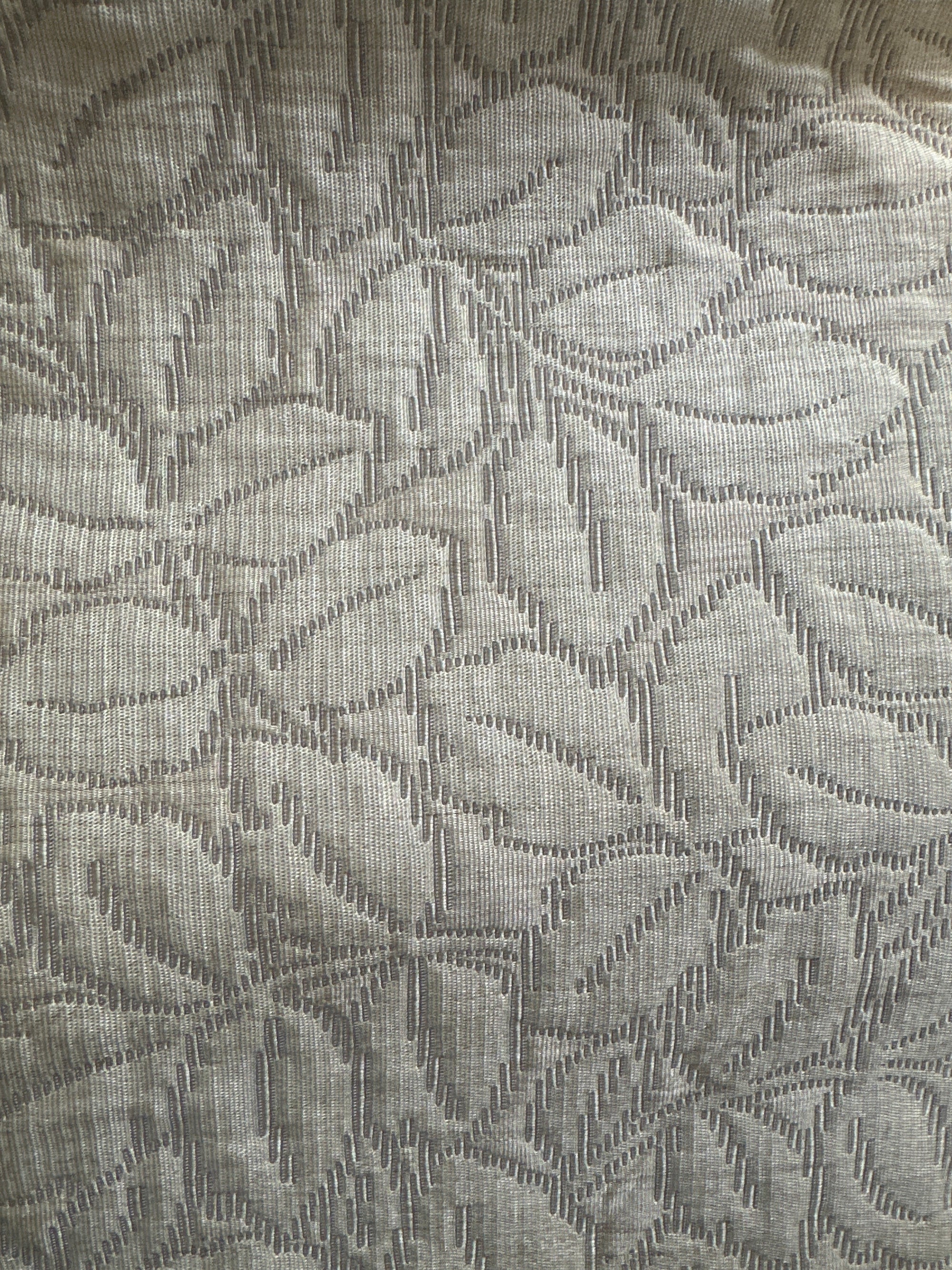 Champagne Vine Bushes