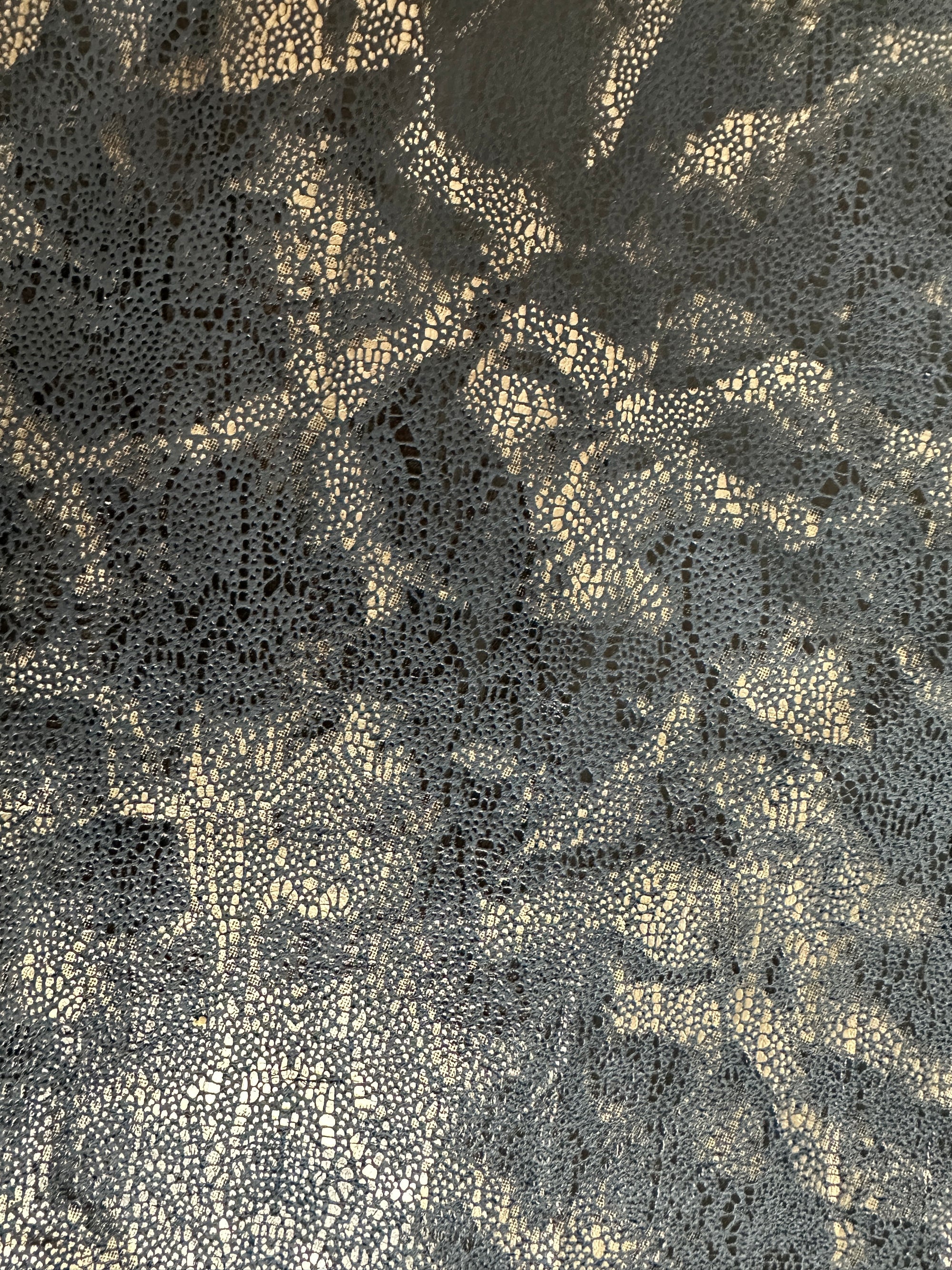 Ash Navy Python