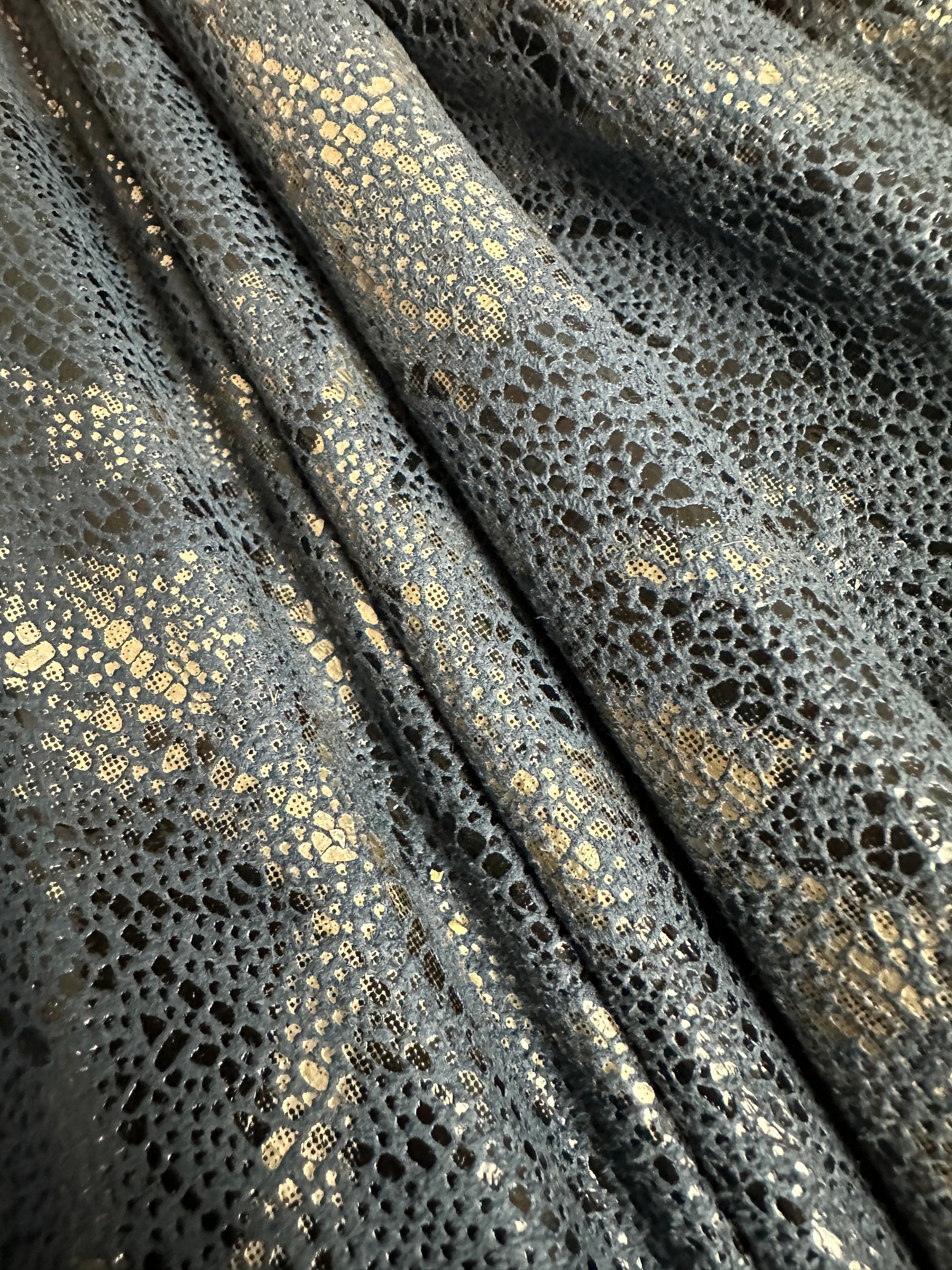 Ash Navy Python