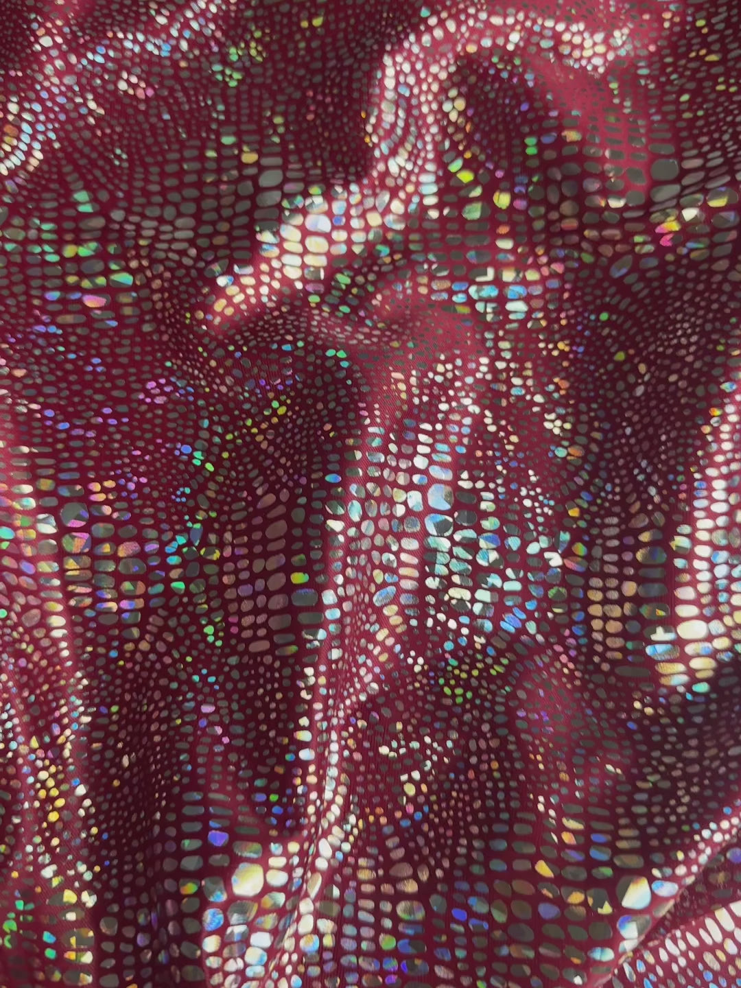 The Iridescent Animal