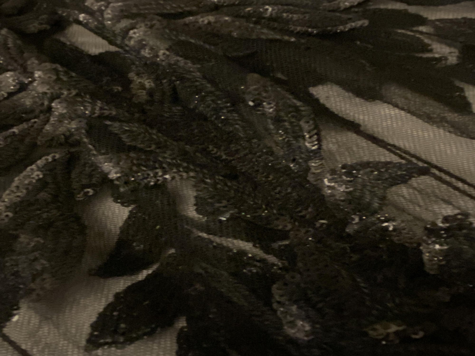 E698D616-A185-4942-B8AF-2AC04AB8A811