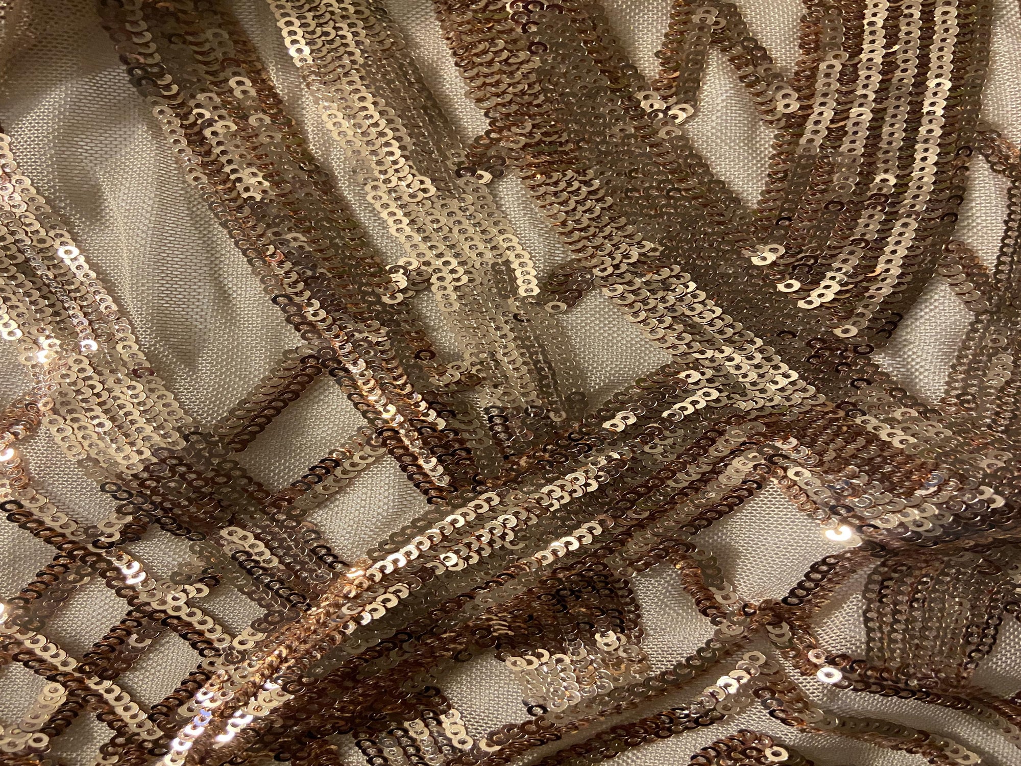 EE2B1E5E-511D-475F-A102-29953AB6A10B